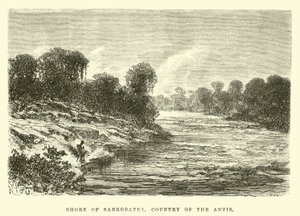 Shore of Sangobatea, Country of the Antis by Edouard Riou